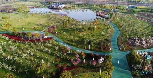 蘇心游 最鹽城丨全省推介 鹽城這4條旅游線路入選江蘇省鄉村旅游精品線路