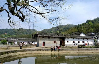 廣東省鄉村旅游精品線 名單公布 始興這條線路入選