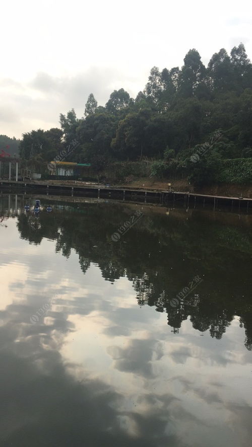 探訪平湖生態(tài)園與九龍?zhí)渡鷳B(tài)園 城市綠肺的生態(tài)魅力