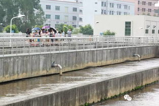 2016市民環保開放日 走進污水處理廠與濕地，共筑綠色東部生態園——九龍潭生態園活動回顧